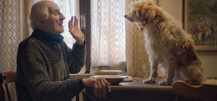 ‘The Truffle Hunters’ Fascinating Look at Eccentric Elders and Their Beloved Trained Dogs