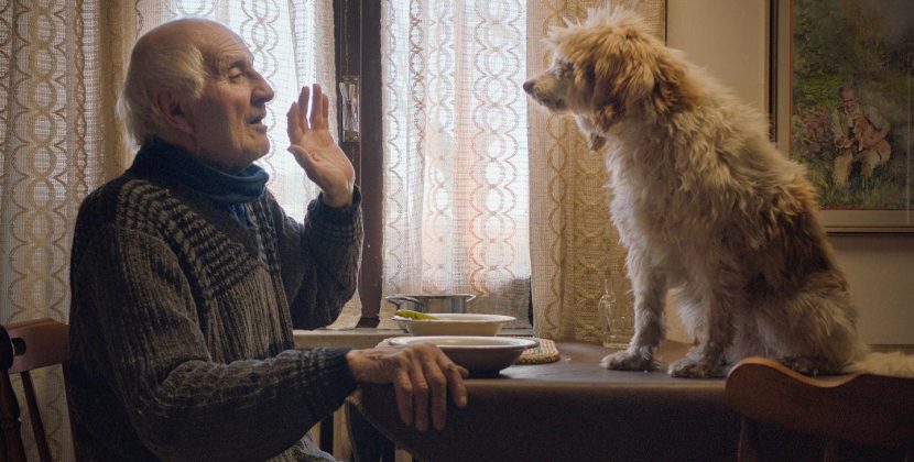 ‘The Truffle Hunters’ Fascinating Look at Eccentric Elders and Their Beloved Trained Dogs