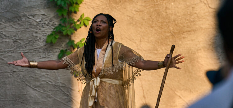 Shakespeare TourCo’s Playful ‘The Tempest’ Makes a Big Splash at Local Parks