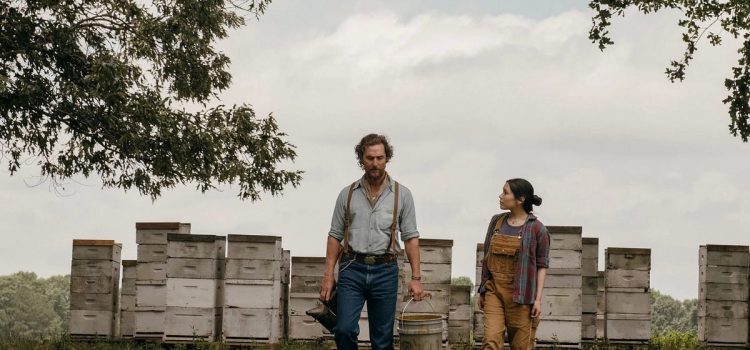 The Folksy Charm of ‘The Rivals of Amziah King’ Surprises and Uplifts